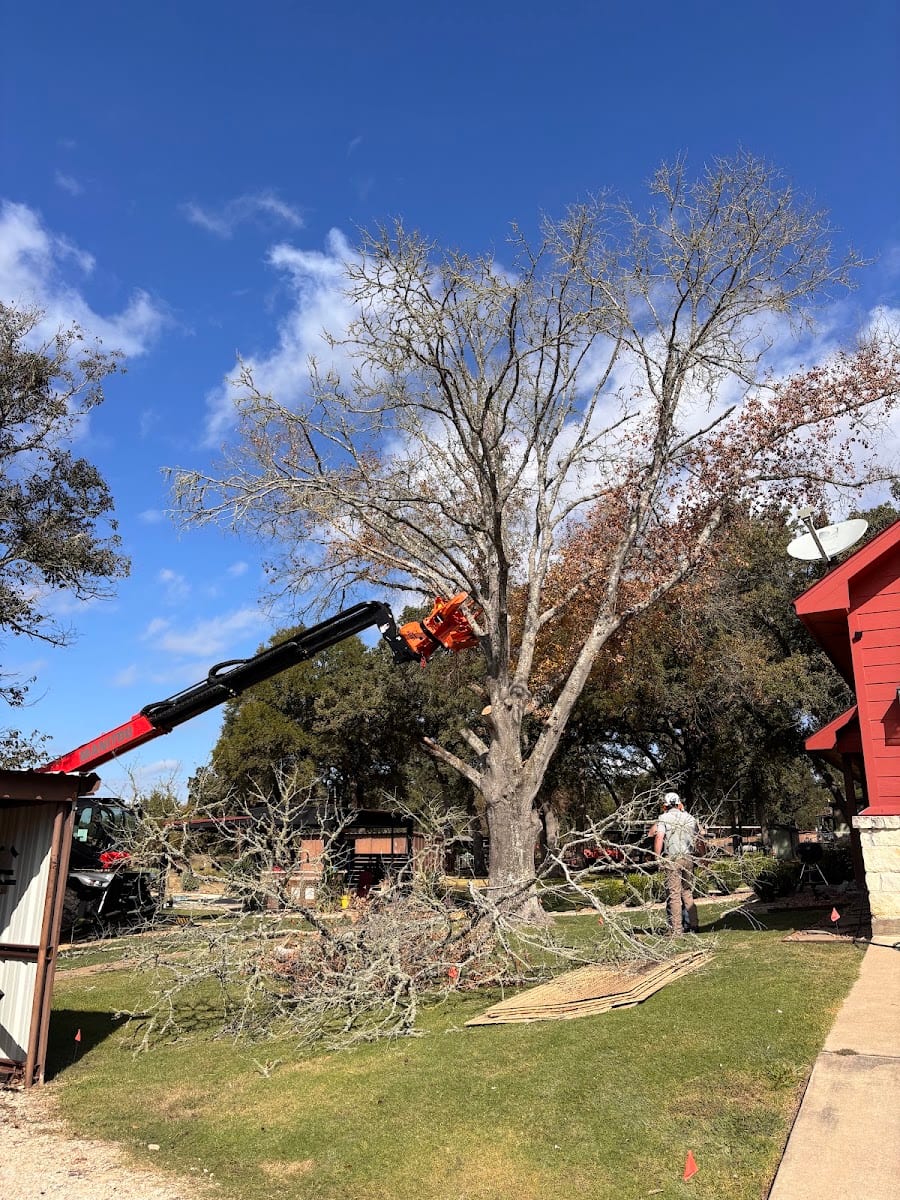 Sendero Arbor Care, photo 4