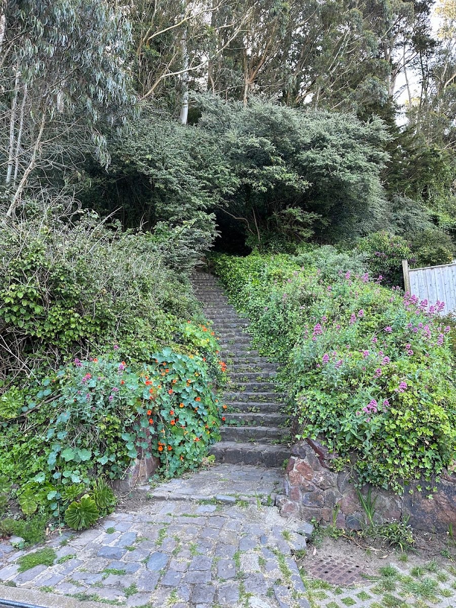 Mount Davidson Hiking Path Entrance, photo 3