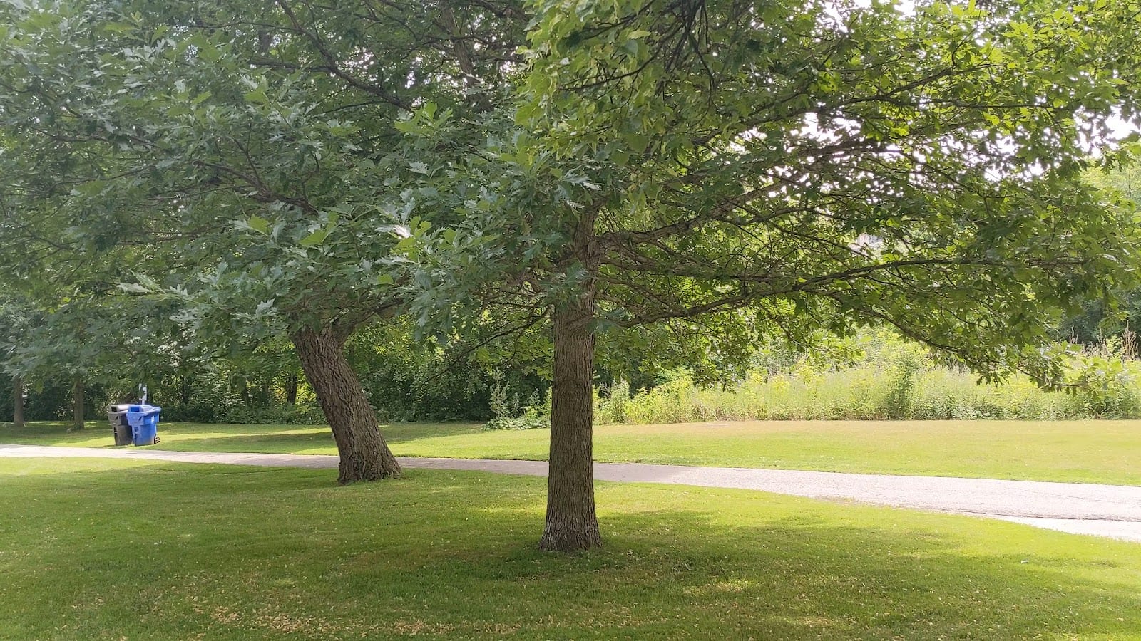Jolly Miller Park, photo 2