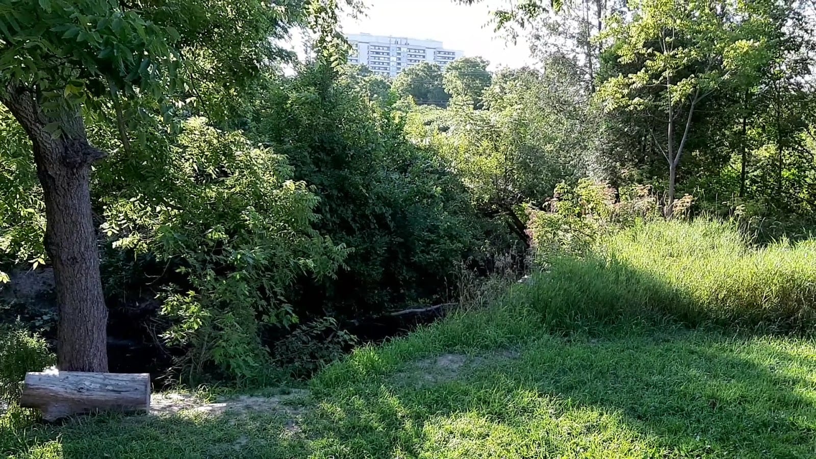 Black Creek Parkland, photo 2