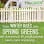 TruGreen Weed Control Casper