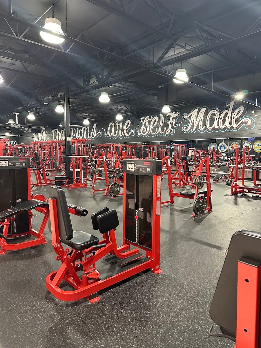Animus Personal Training