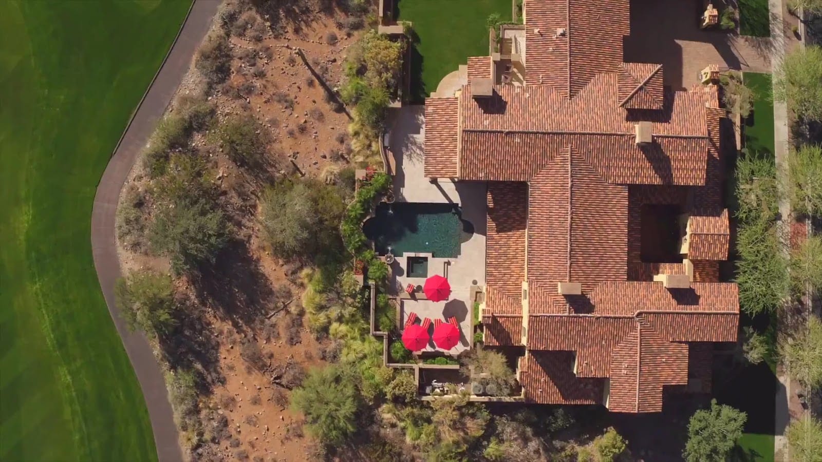 Silverleaf Realty, photo 3