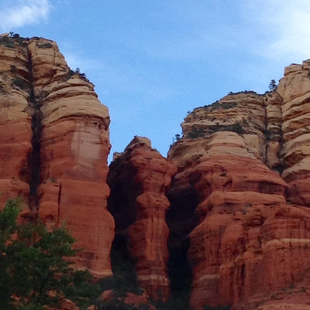 Luminessence Craniosacral And Lymphatic Therapy, photo 2