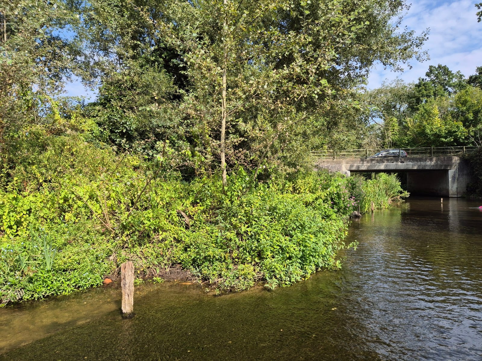 Earlham Park