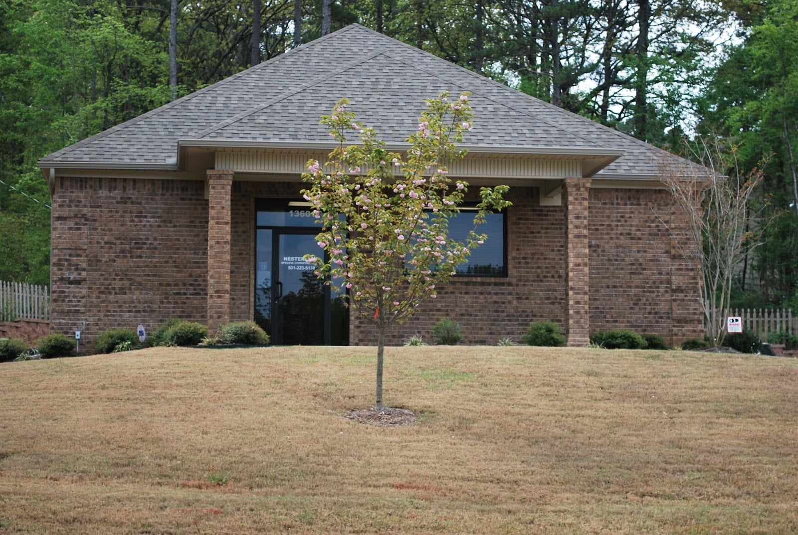 Nesterenko Specific Chiropractic, Inc, photo 3
