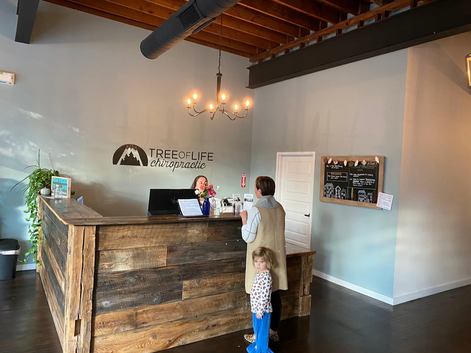 Tree of Life Chiropractic - Rochester, photo 4