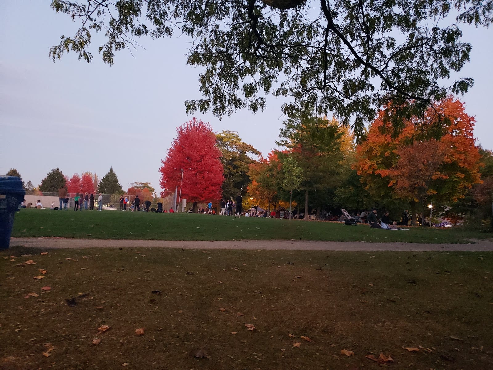 Sorauren Avenue Park