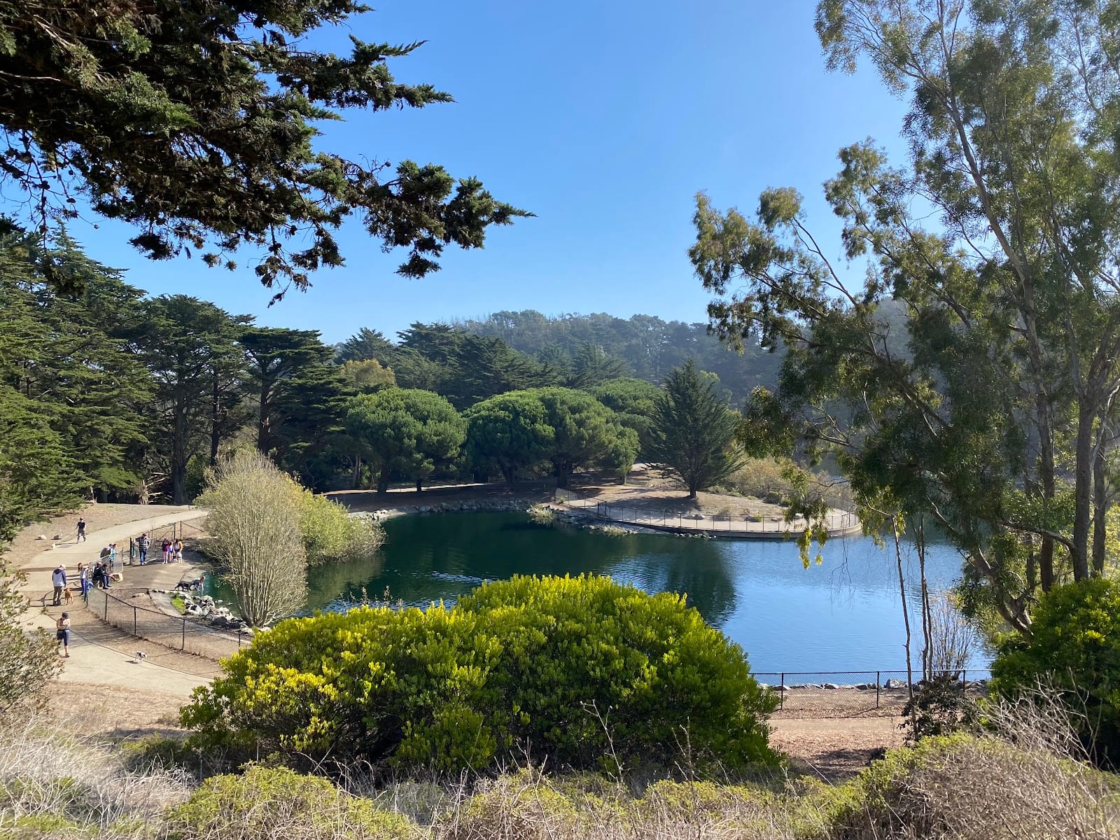 McLaren Park Trails, photo 3