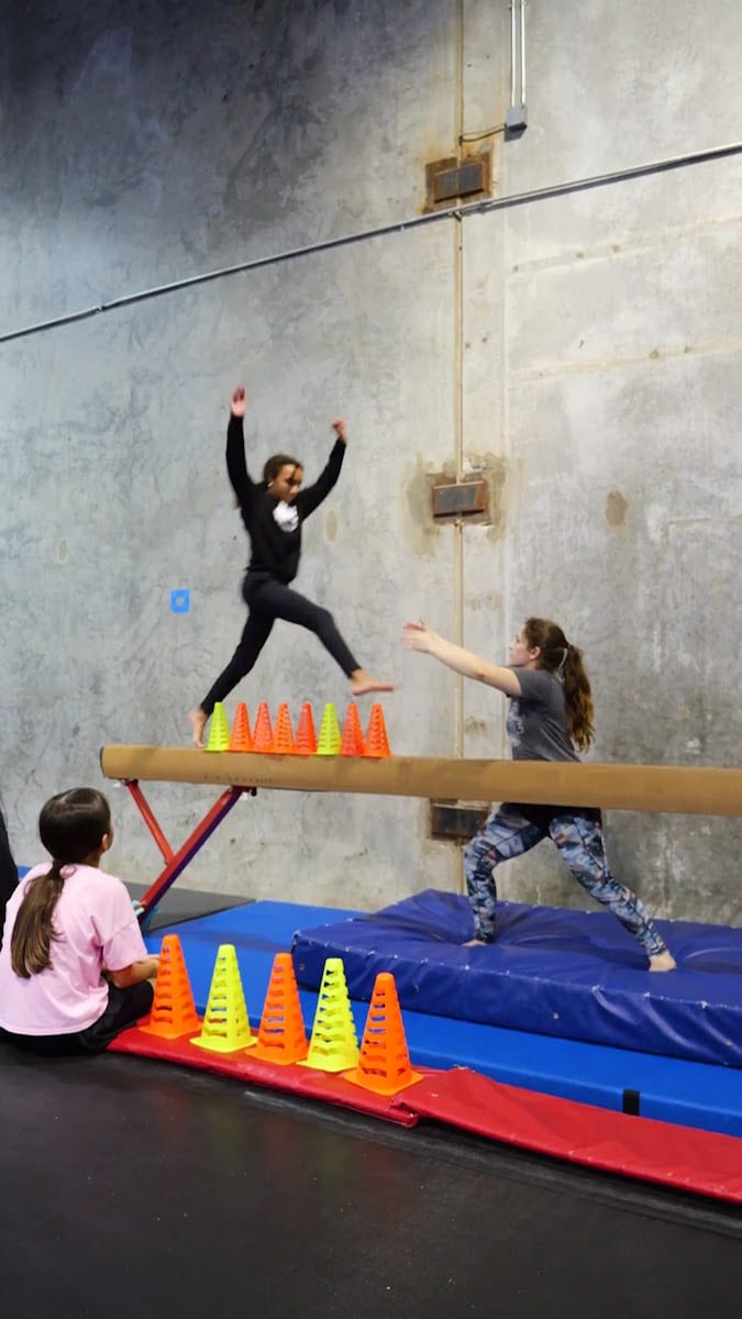 The Jungle Movement Academy, photo 3