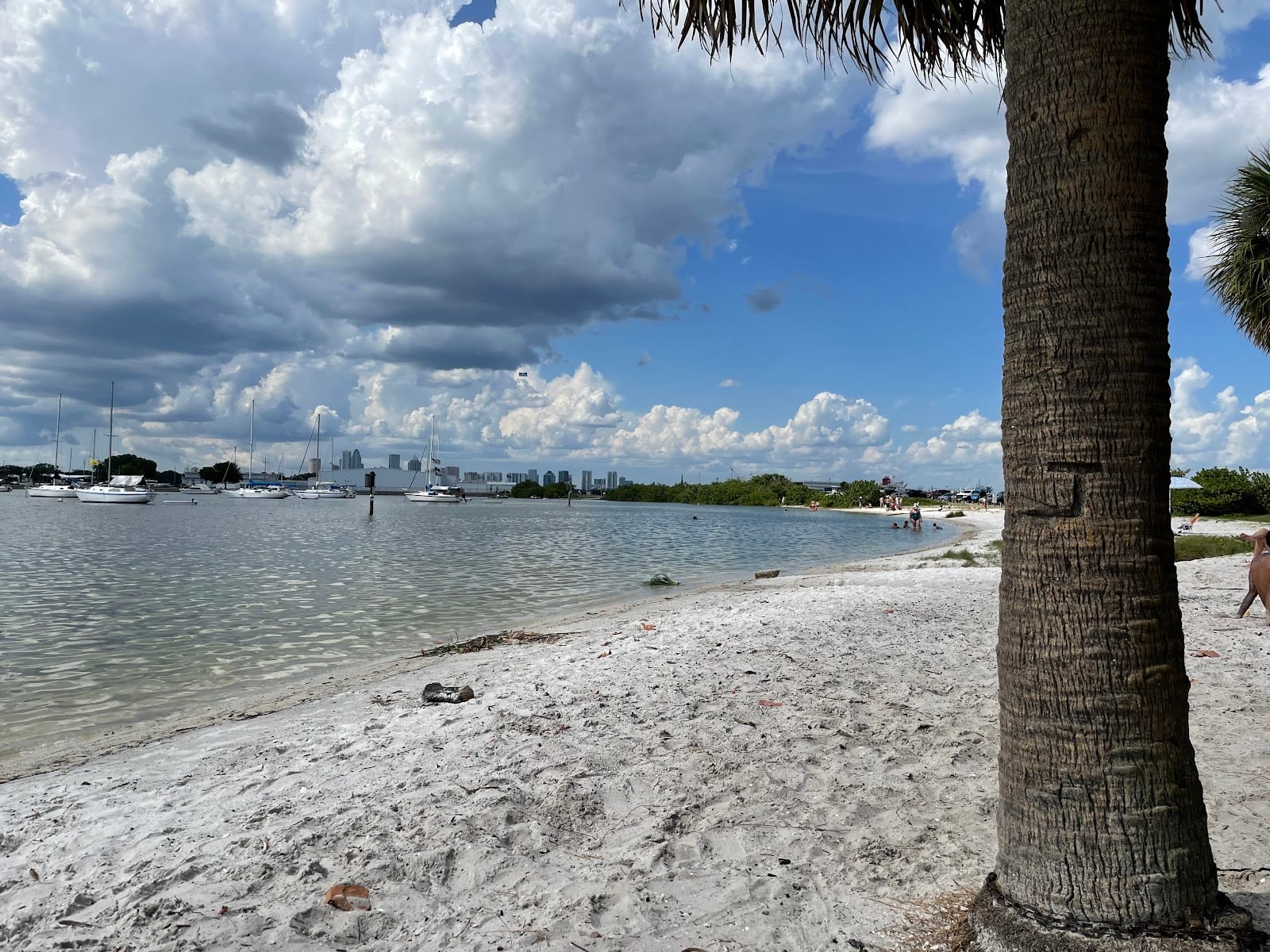 Davis Island Beach, photo 3