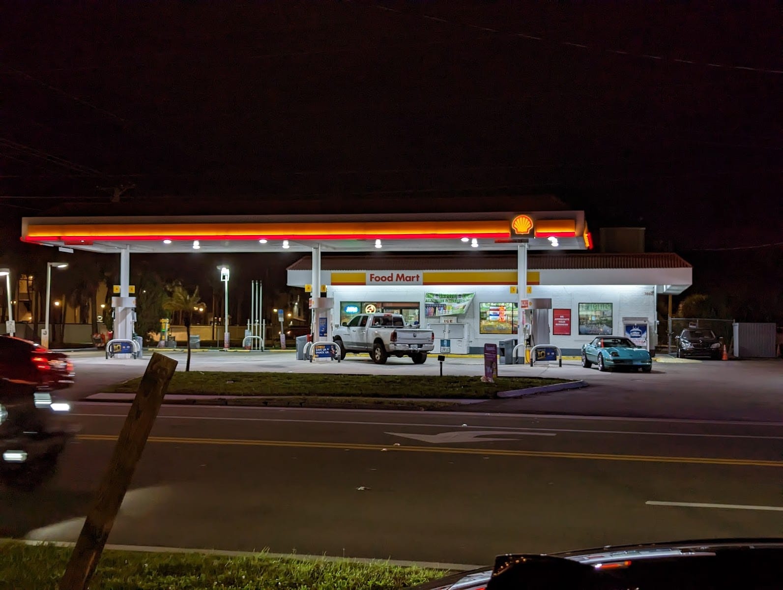 Shell, photo 3