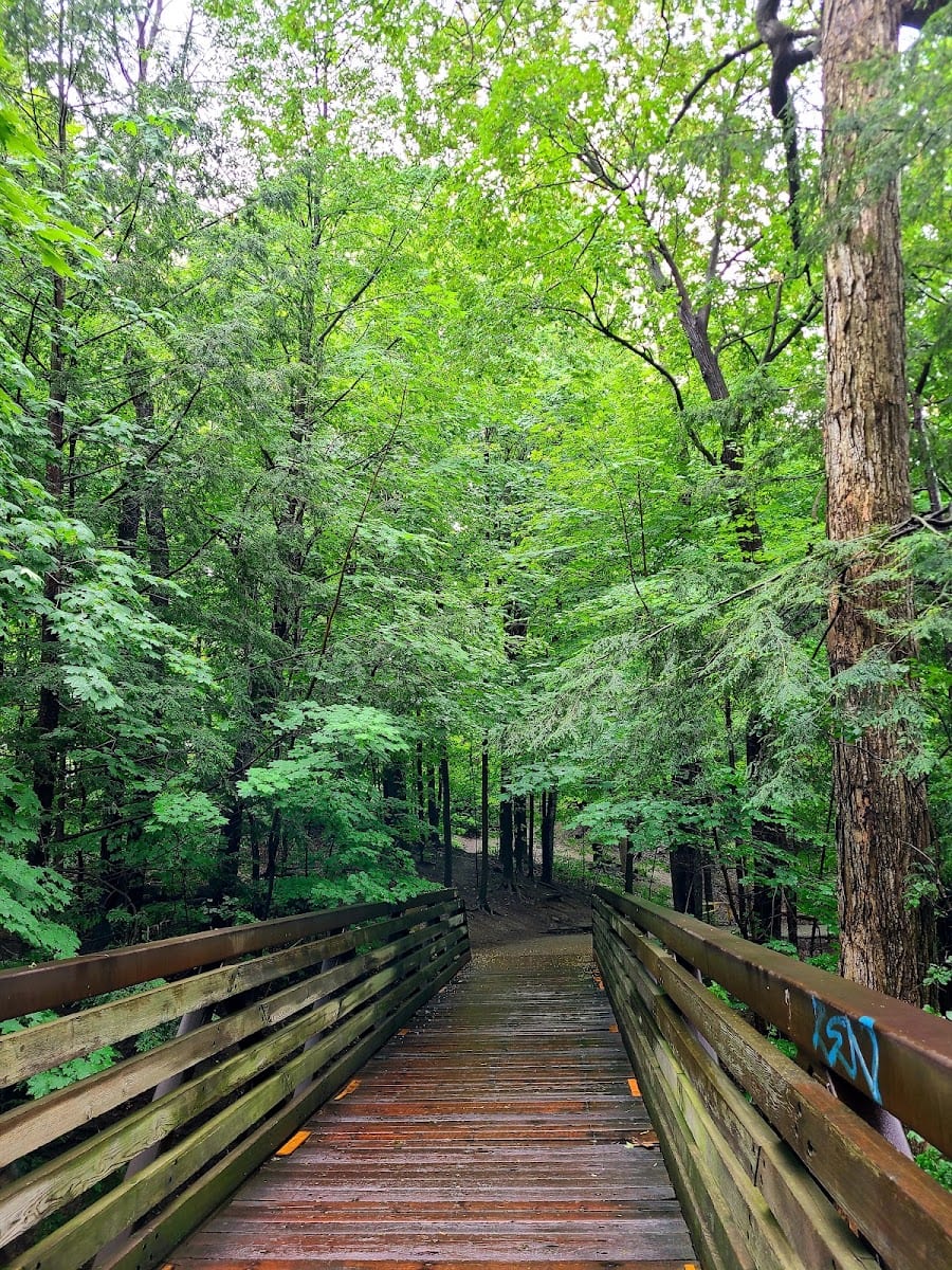 Wilket Creek Recreational Trail