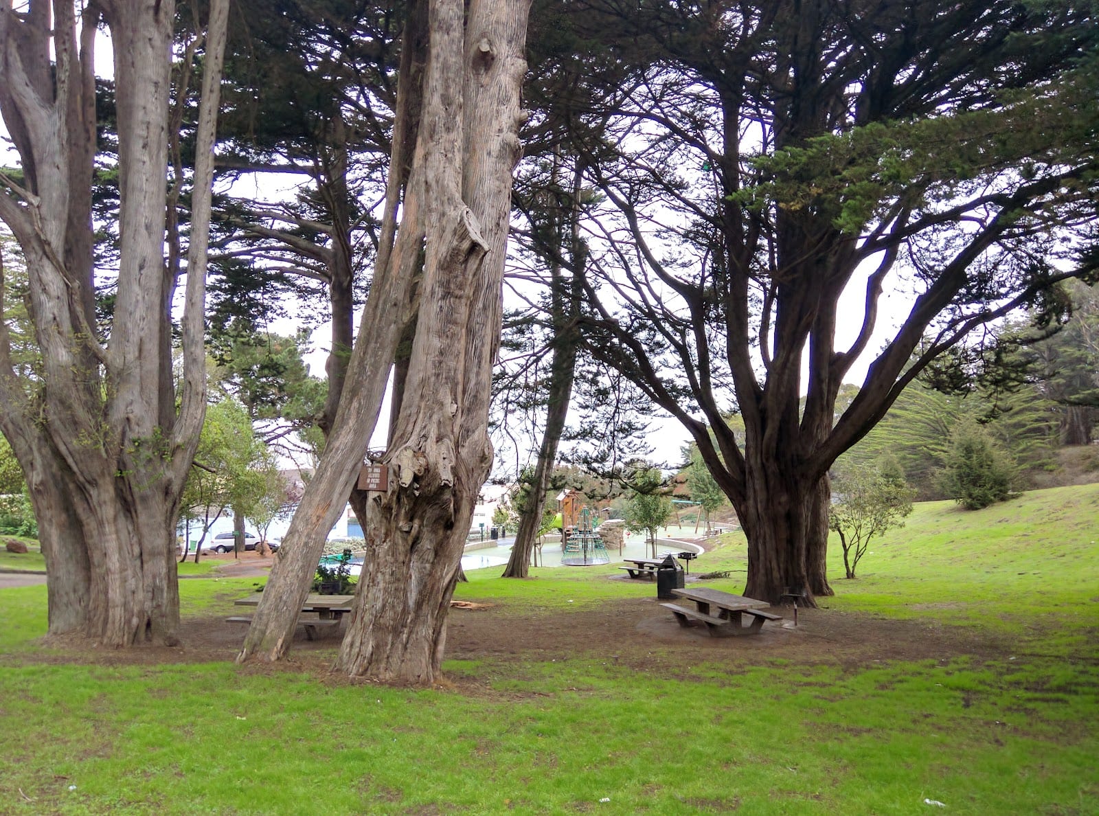 Peru Playground Picnic Area, photo 3