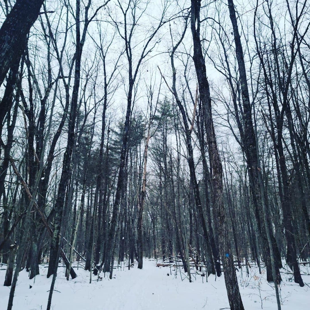 Hemlock Trail, photo 4