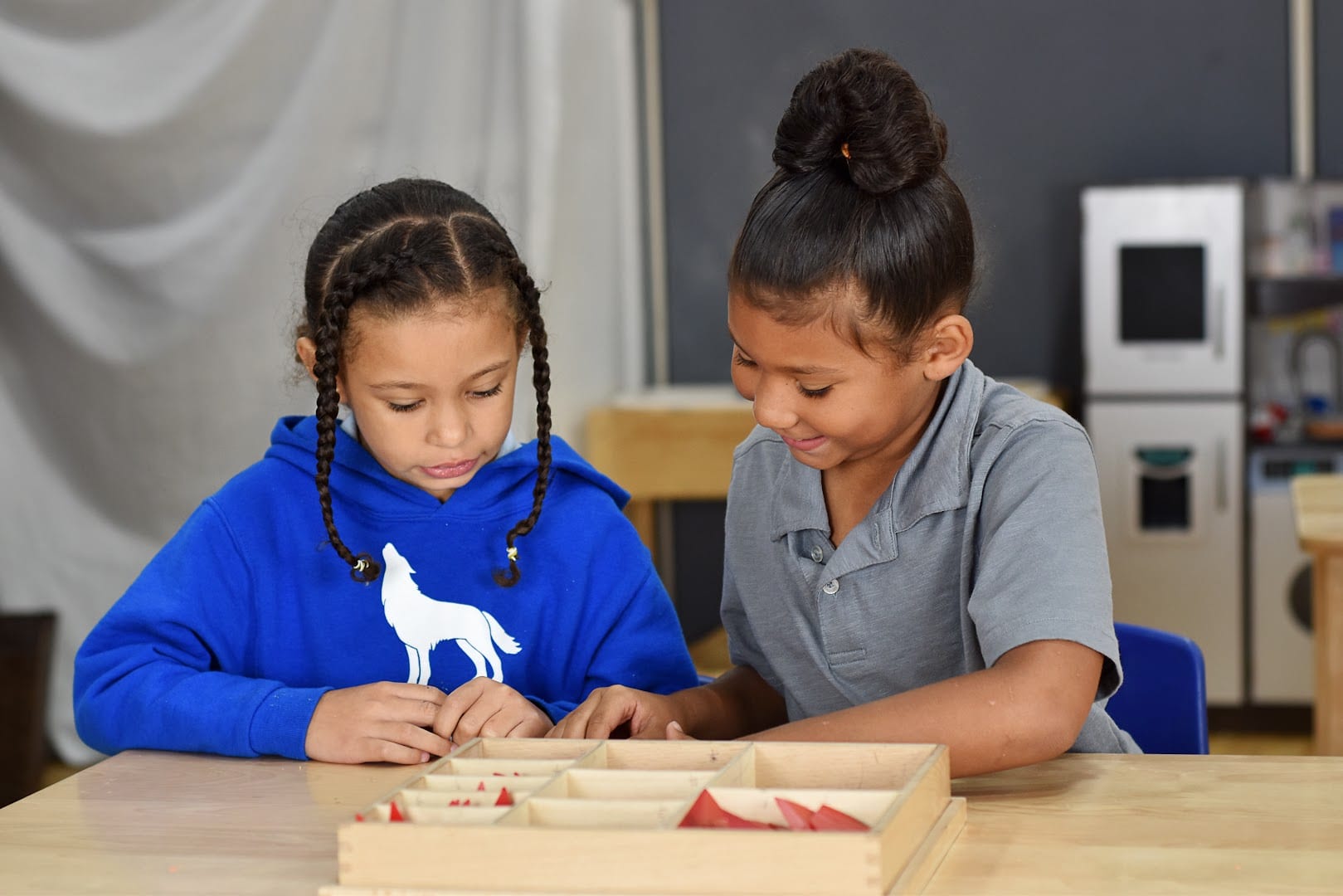 Battle Creek Montessori Academy, photo 4