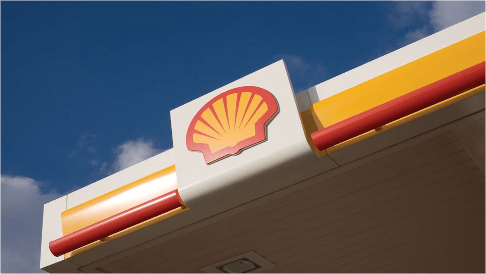 Shell, photo 2