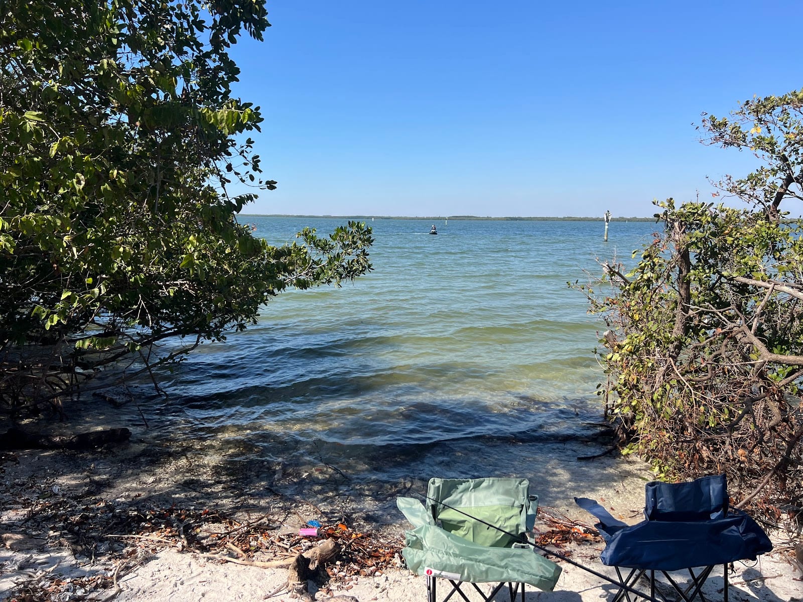 Courtney Campbell Causeway Bayside Fishing