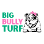 Big Bully Turf