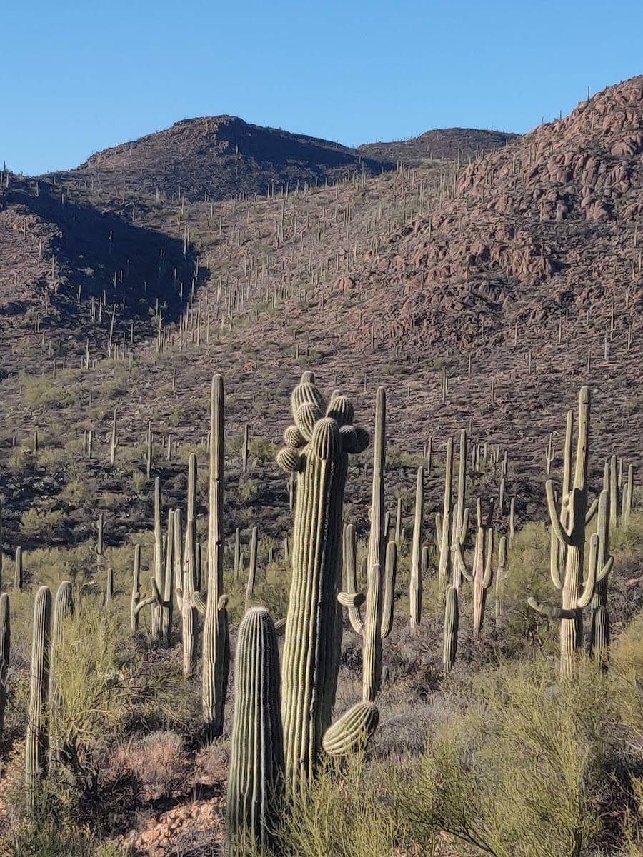 Bowen Trail Access