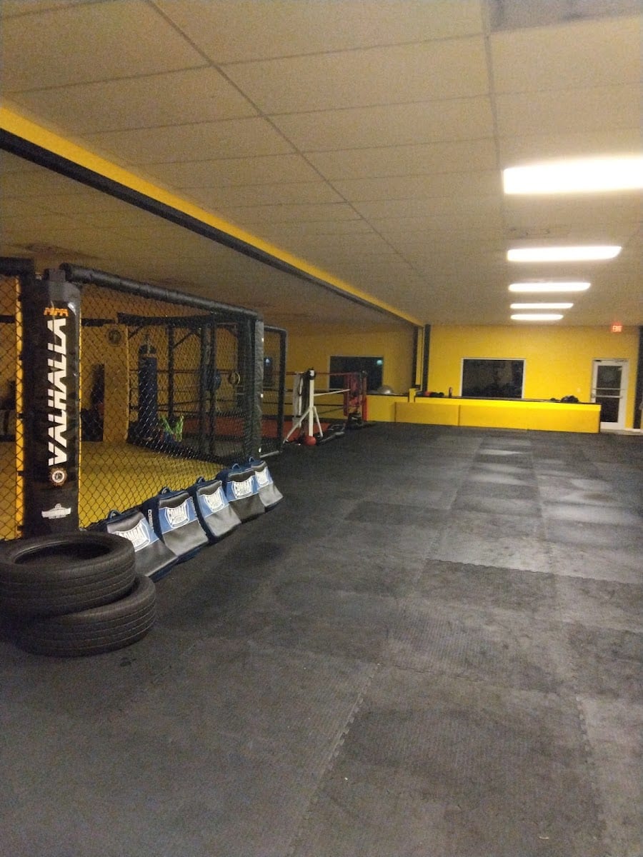 VALHALLA MMA, photo 3