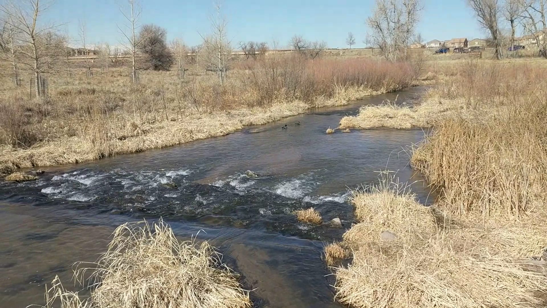 Parker Jordan Centennial Open Space, photo 2