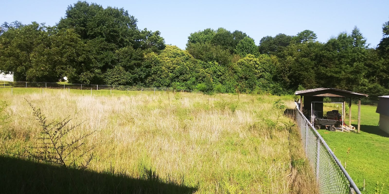 D and B's Lawn Care and BushHogging, photo 2