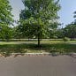 Green Tree Group Contracting LLC