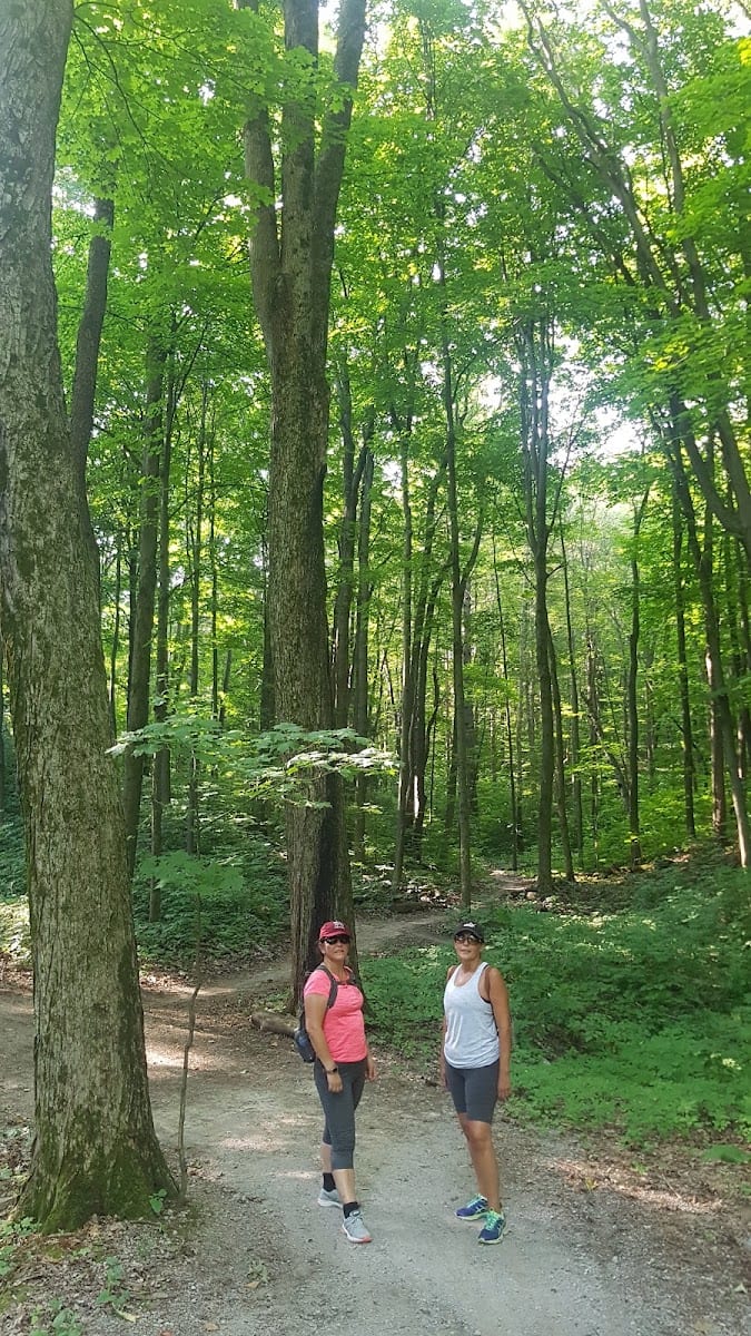 Elgin Mills Greenway, photo 2