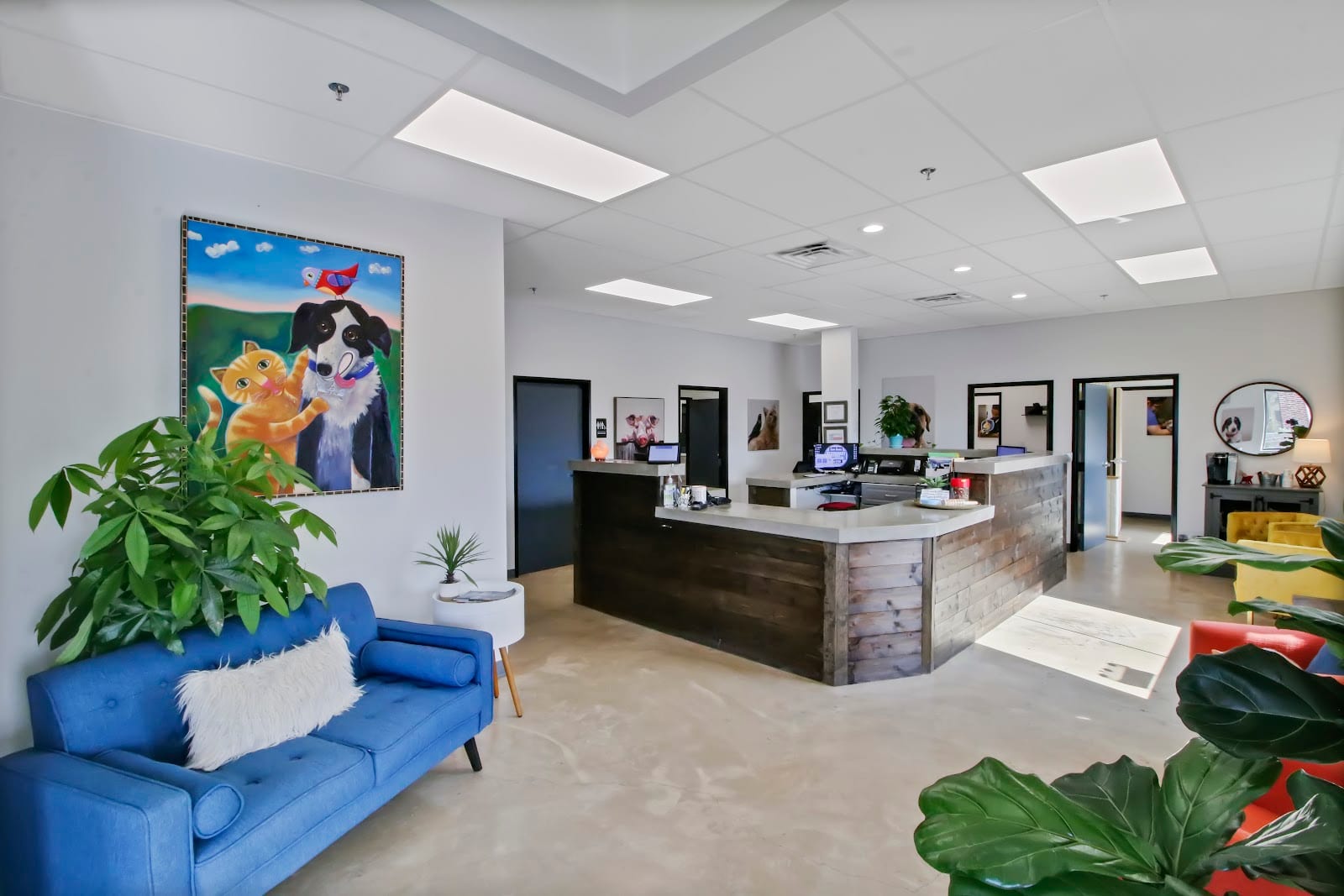 Sam Bass Veterinary Wellness, photo 3