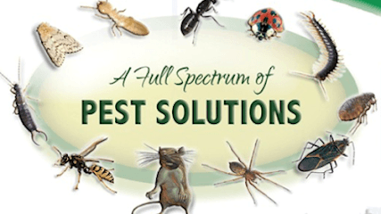 Advanced Pest Solutions Plus