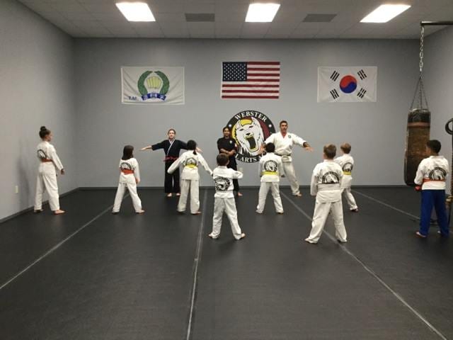 Webster Martial Arts of Madison