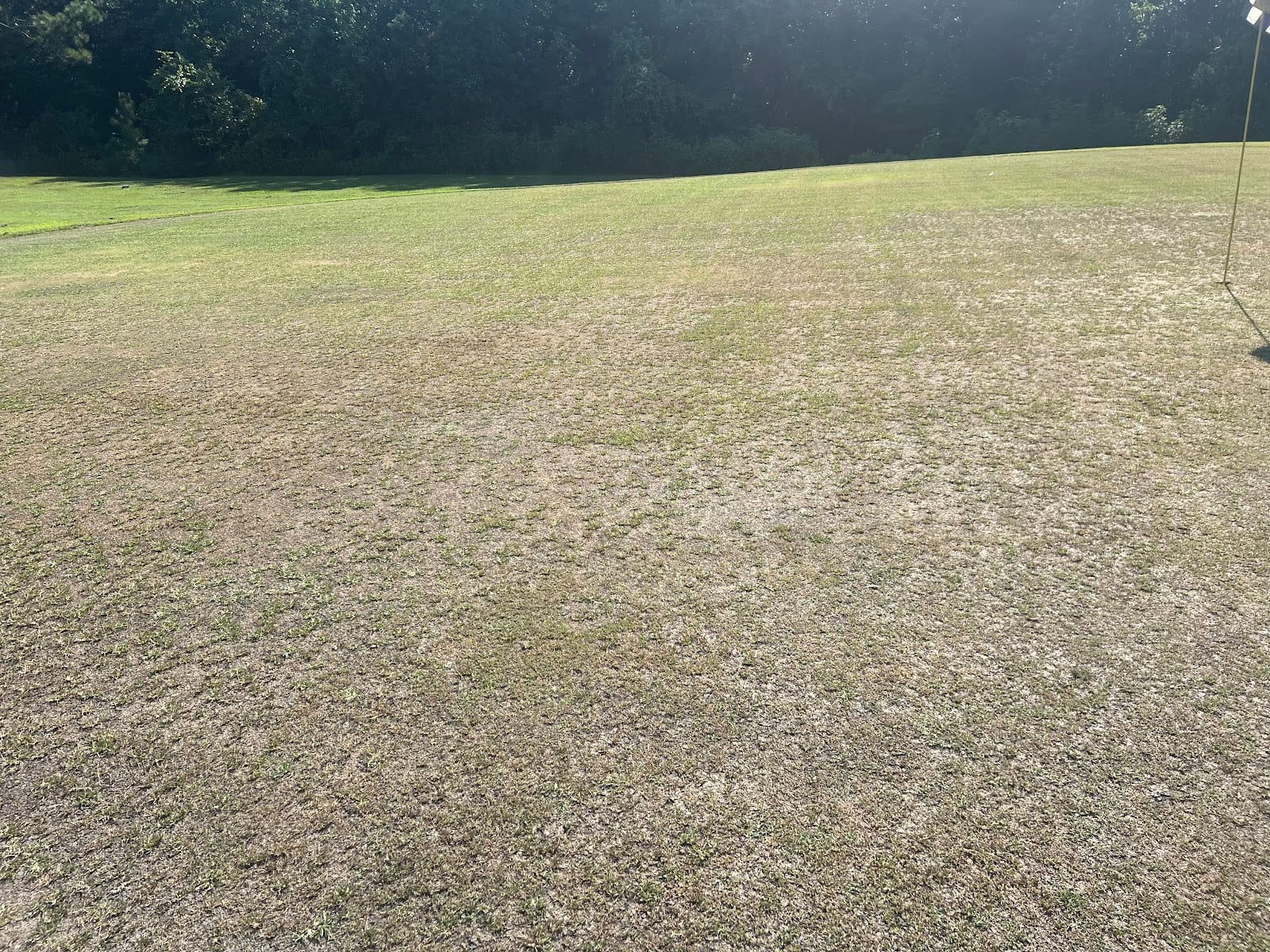 Henry Homberg Golf Course, photo 3
