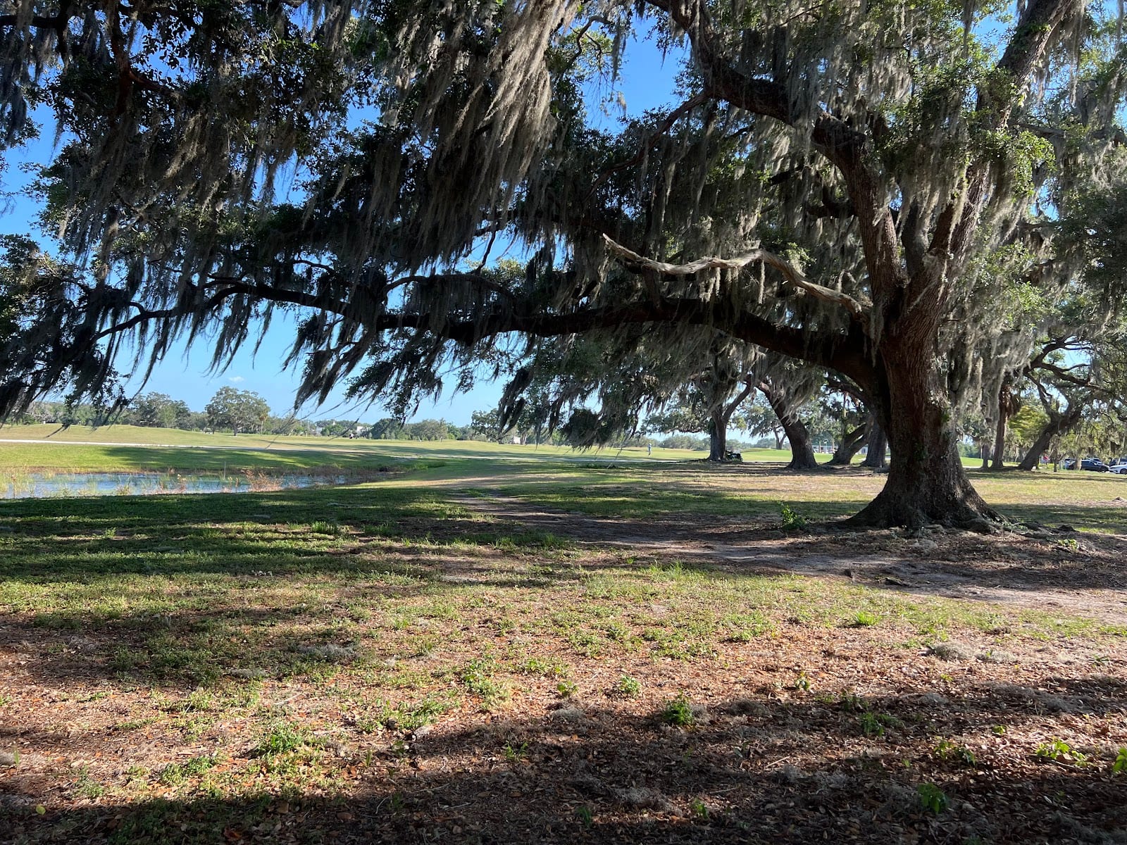Bobby Jones Golf Club, photo 3