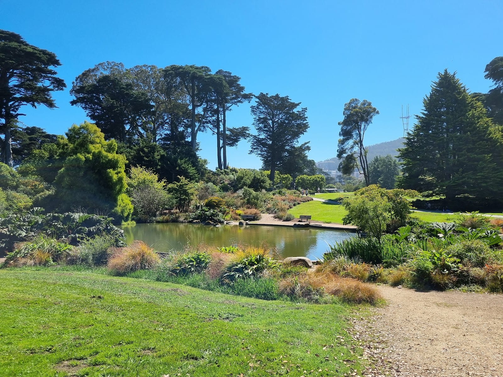 Golden Gate Park, photo 3