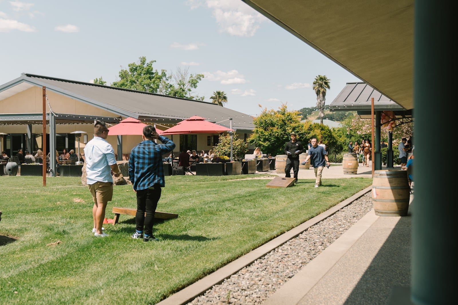 RD Winery, photo 2