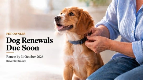 Dog with owner