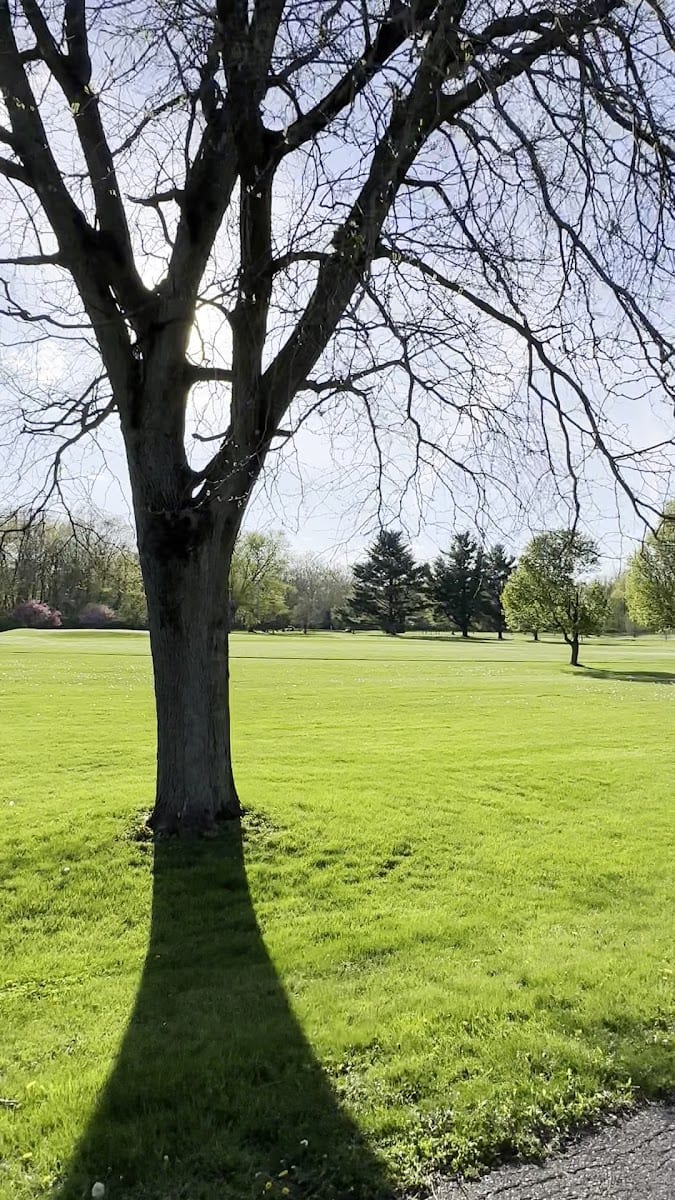 Foster Park, photo 3