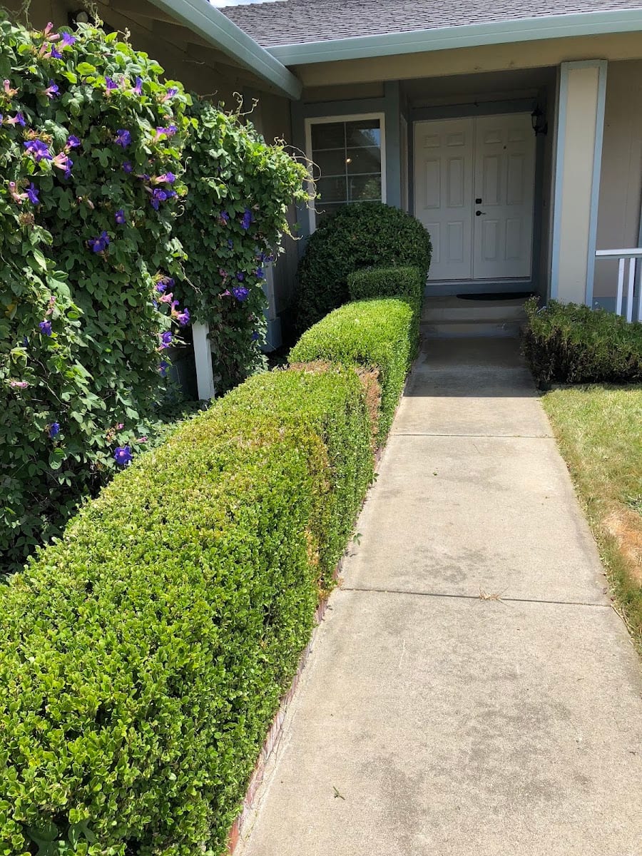 Mike's Gardening Service