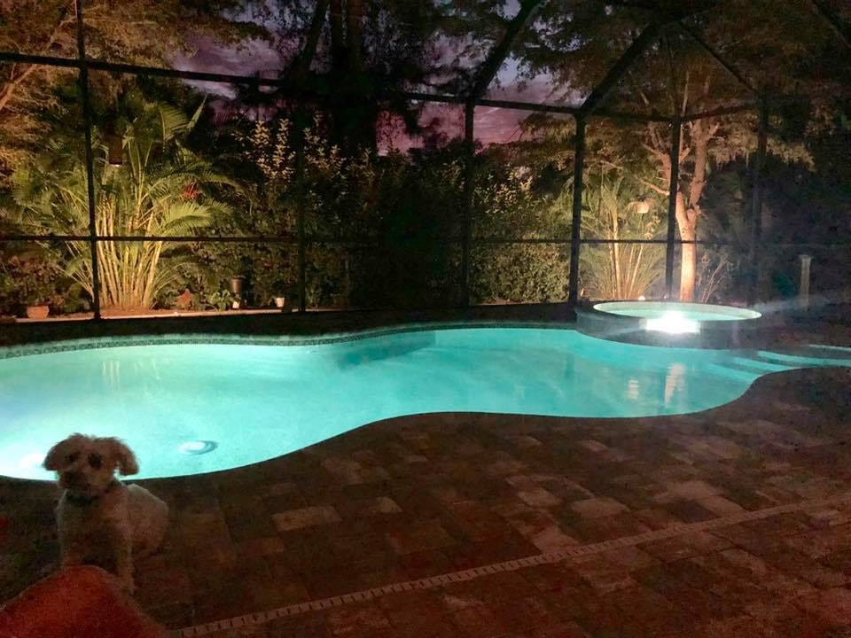 Integrity Pools Inc, photo 3