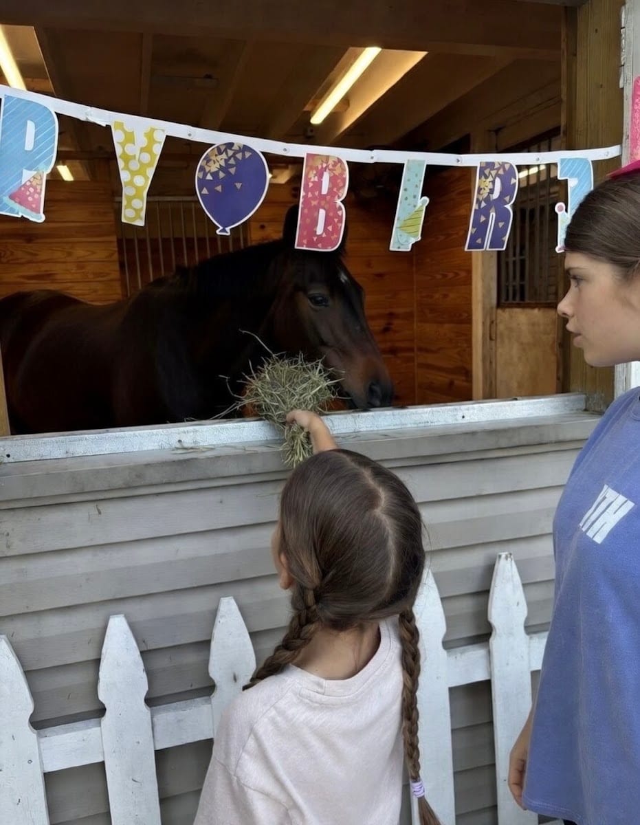 The Painting Pony LLC
