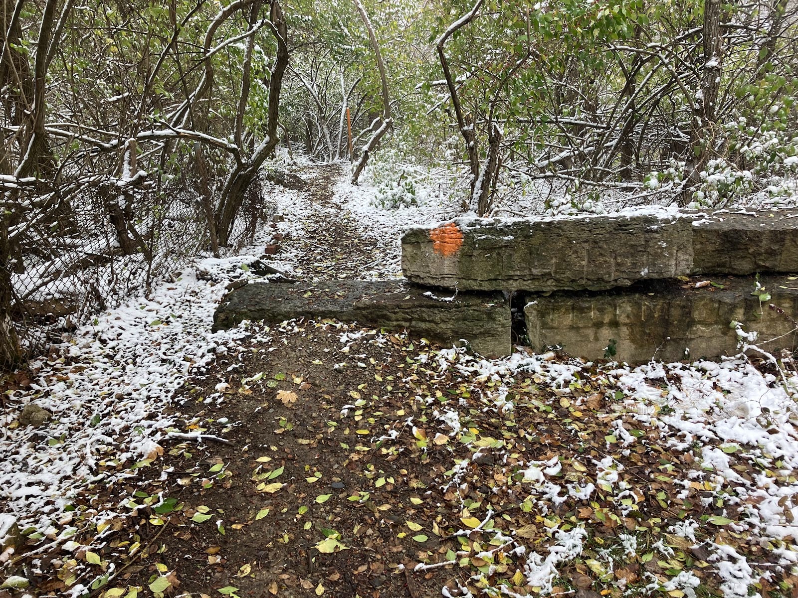 Derby Downs Trails, photo 3