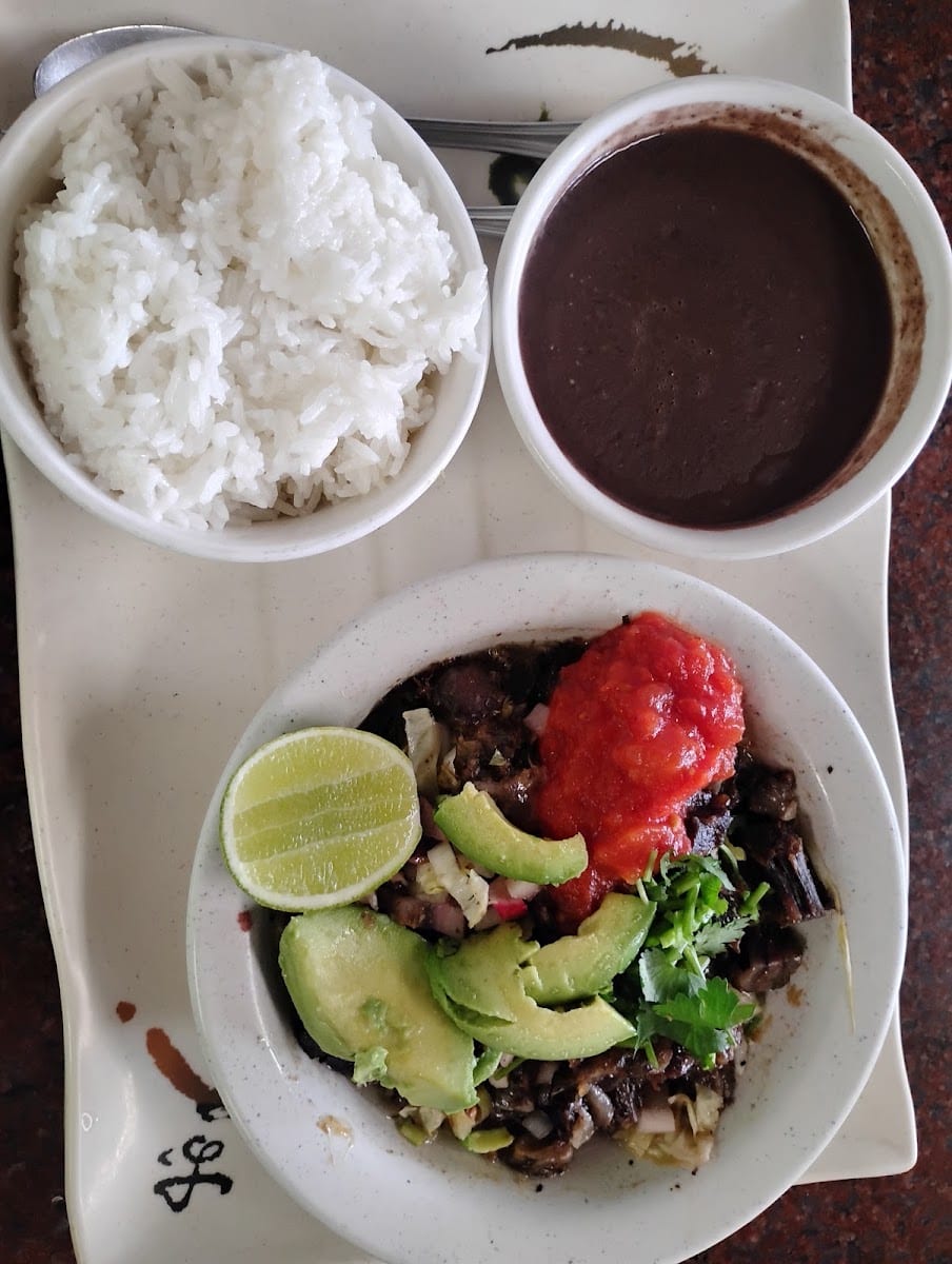 Yucatasia, photo 2