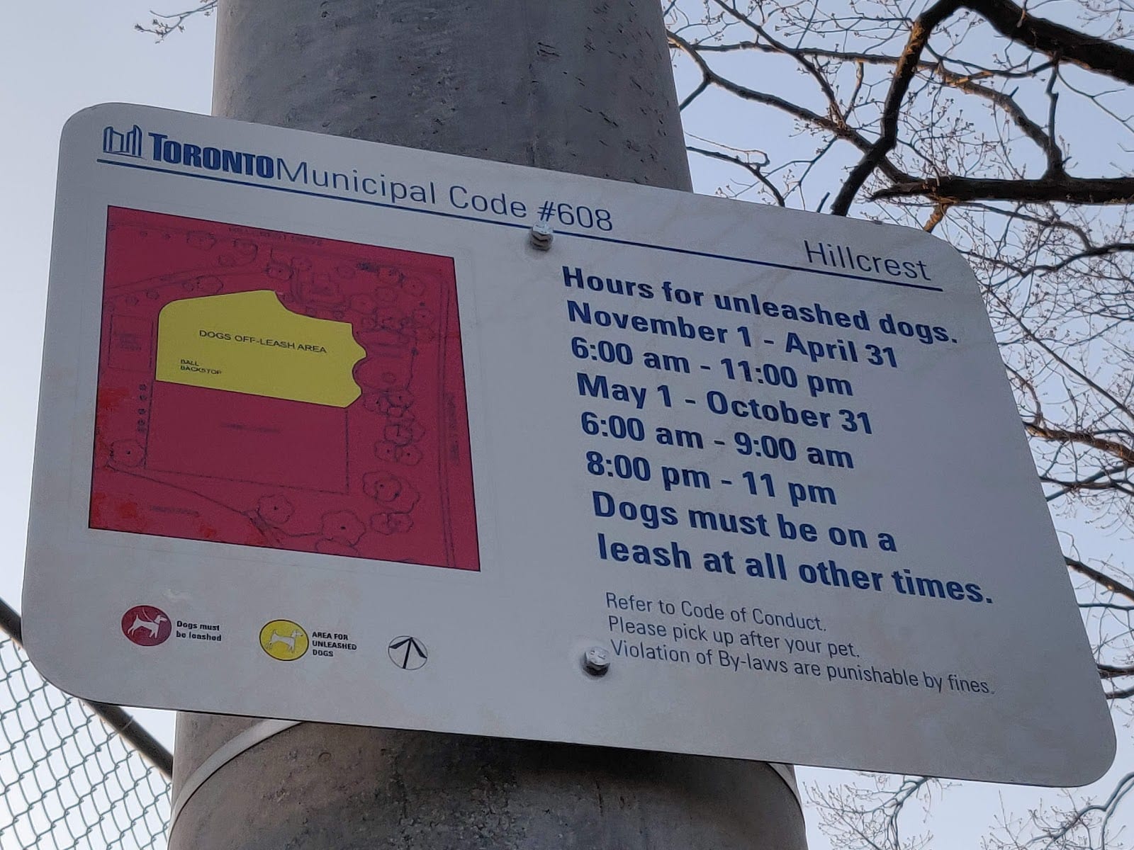 Hillcrest Dogs Off-leash Area, photo 3