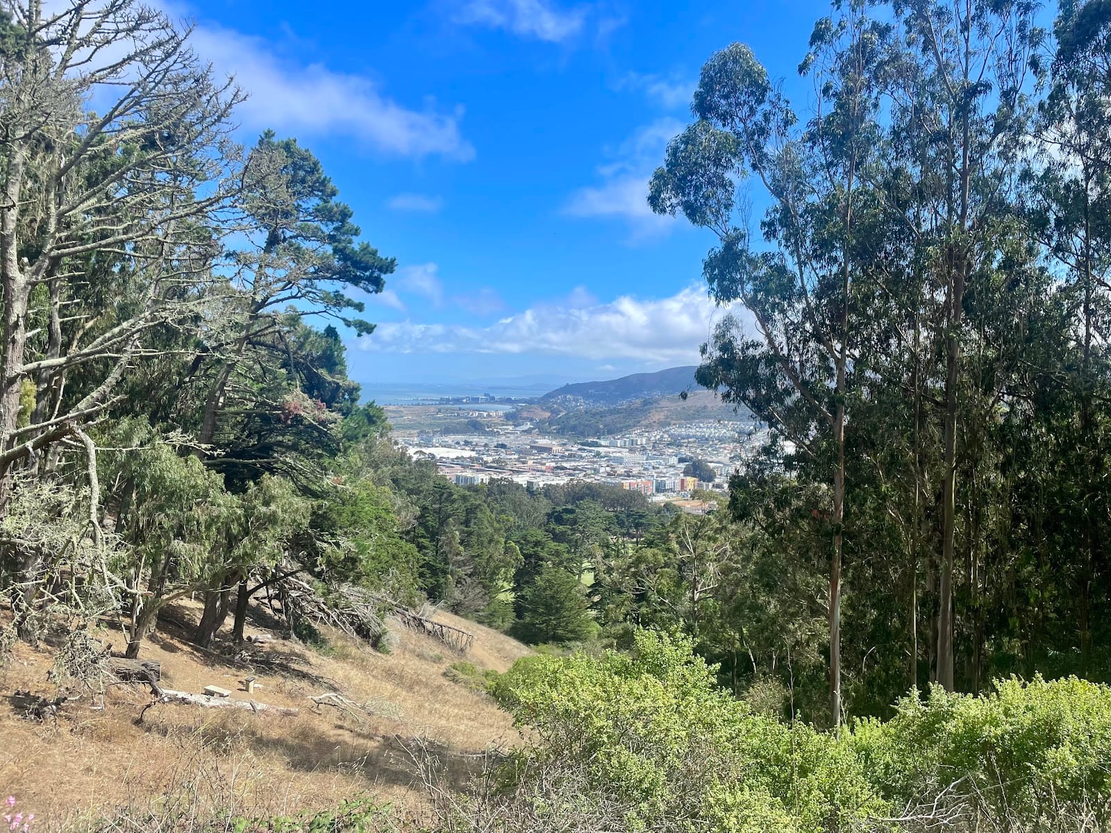 West Coyote Trail