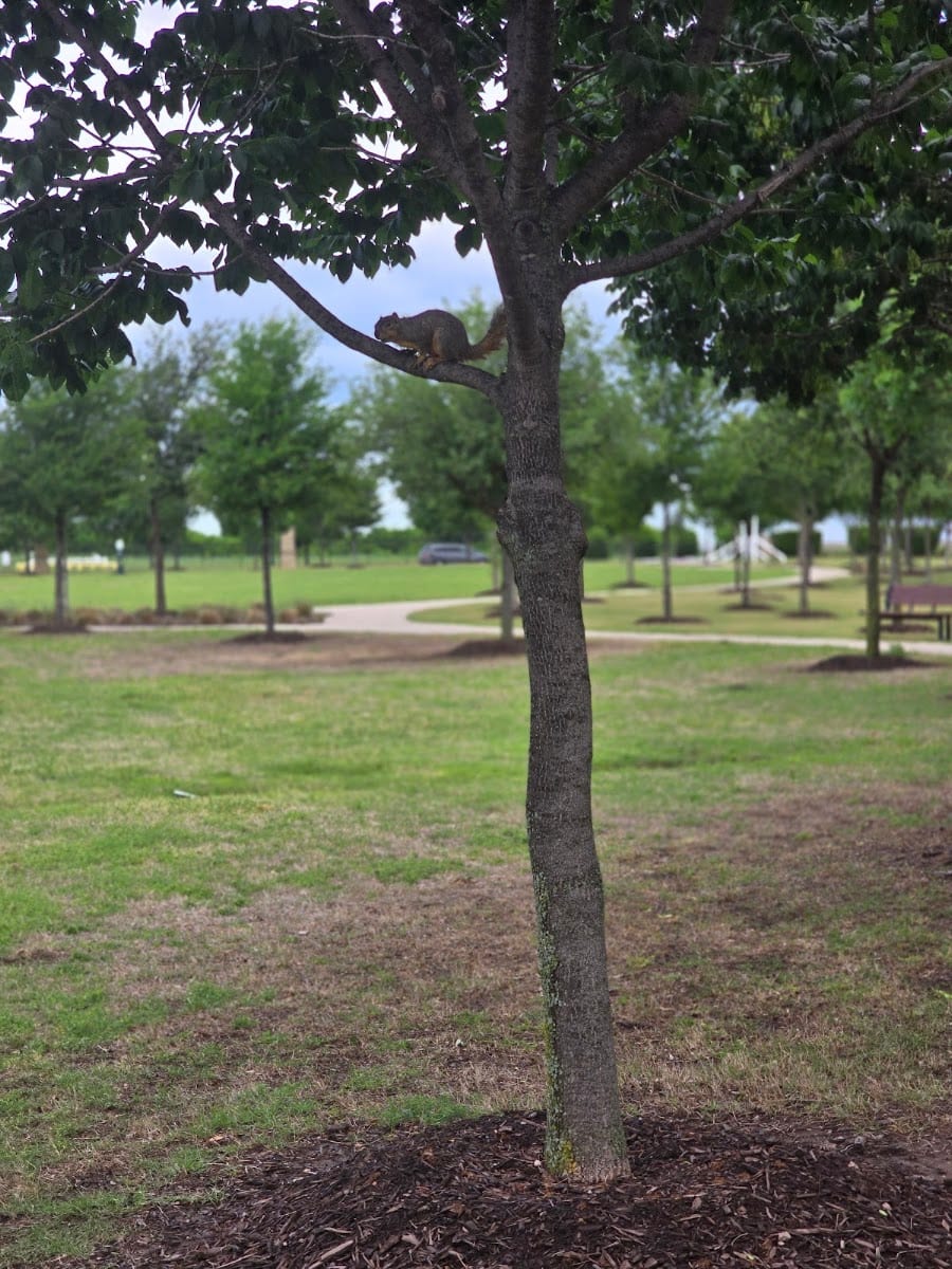 Wade Settlement Walking Trail