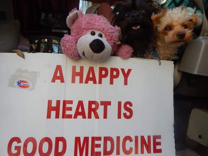 Medical Marijuana Treatment Clinics of Florida, photo 4