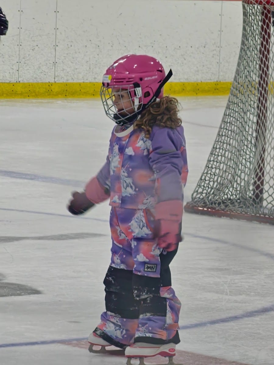 National Training Rinks, photo 4