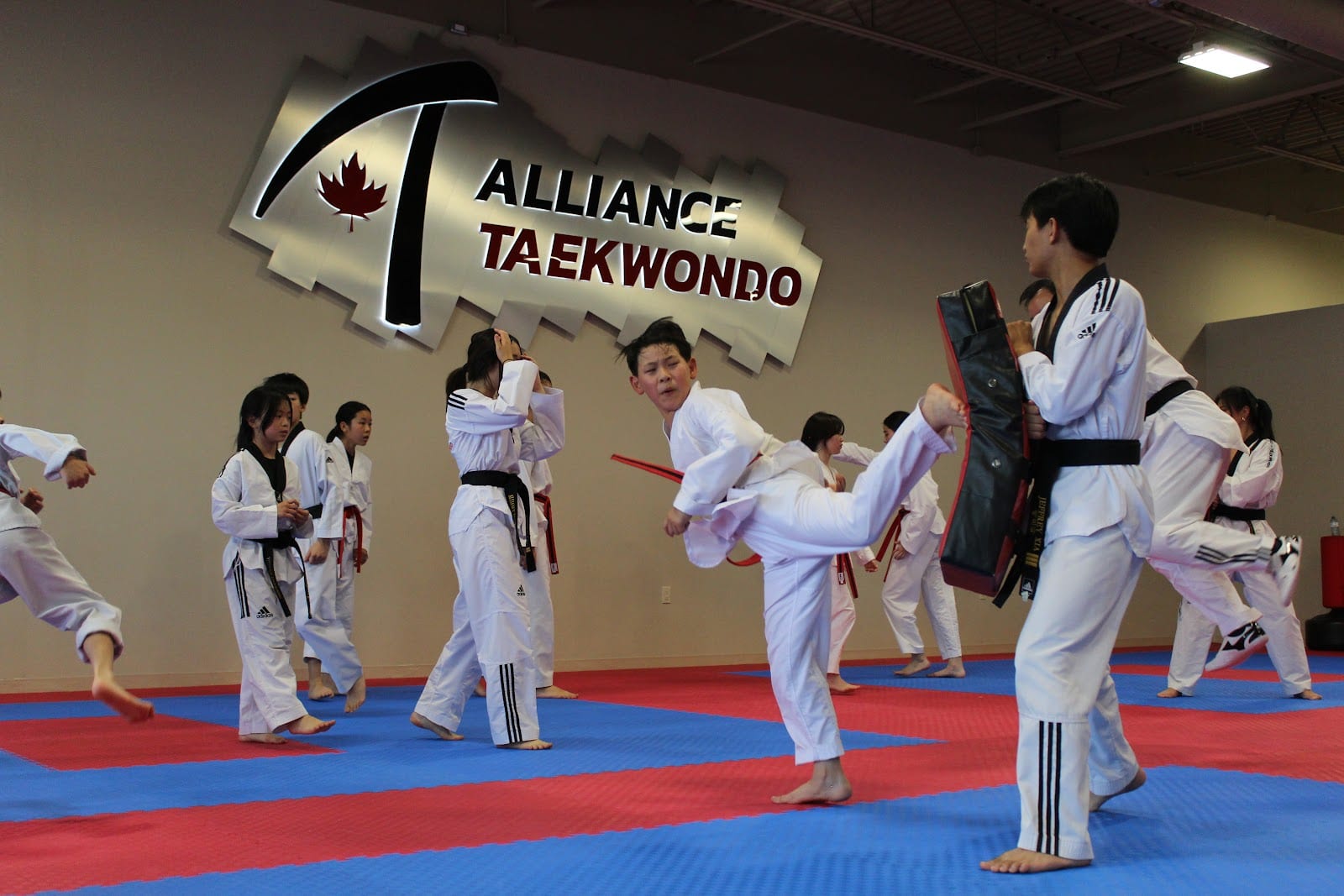 Alliance Taekwondo, photo 3
