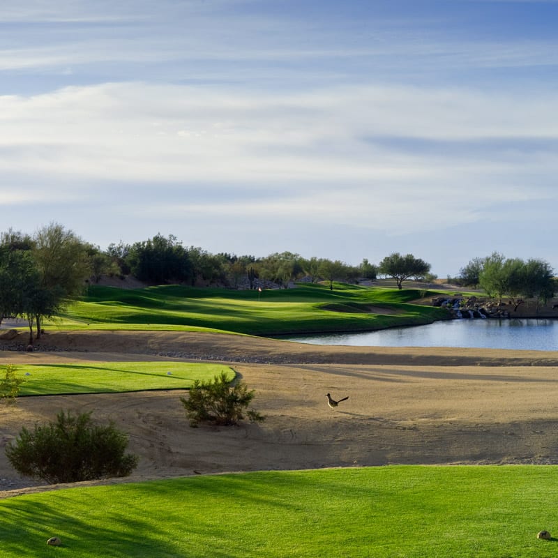 McDowell Mountain Golf Club